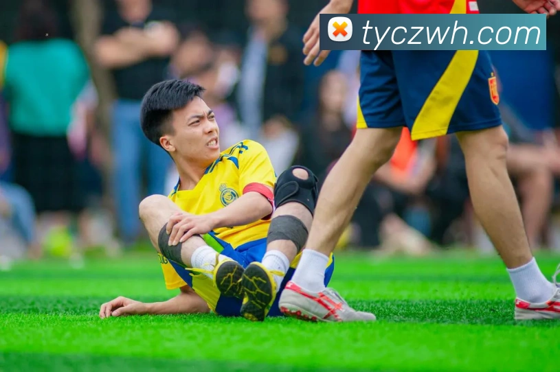 多媒体互动体验